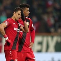 'Chicharito” no consigue alcanzar el empate para el Leverkusen
