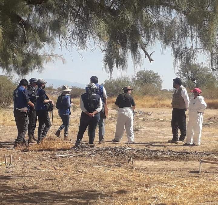 Integrantes de un Comité de la ONU e integrantes del Grupo Vida A.C. buscaron y localizaron diversas fosas clandestinas en el Ejido San Antonio del Alto, municipio de Matamoros, Coahuila, donde han logrado recuperar fragmentos óseos de personas desaparecidas