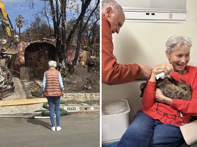 VIDEO: Increíble reunión de un gato con su dueña tras los incendios en Los Ángeles
