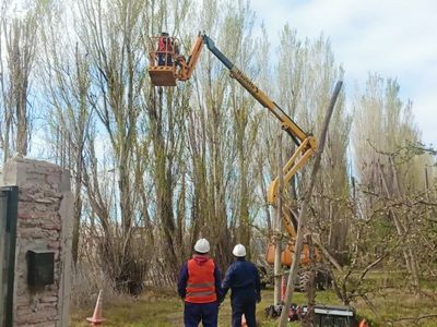 Realizaron la poda de alamedas en el Aeropuerto de Neuquén