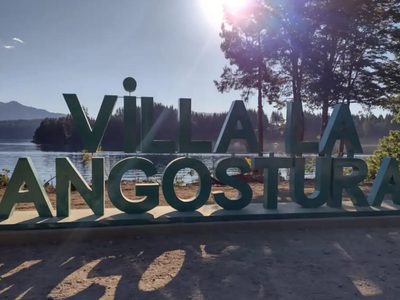 Preocupación en Villa La Angostura por la tala ilegal en una reserva natural