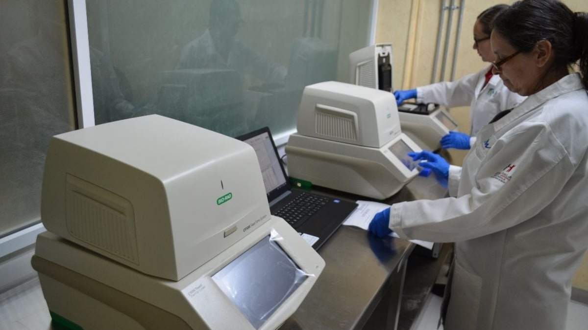 Un laboratorio de Tamaulipas