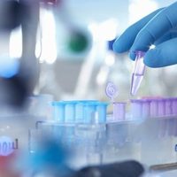 ¿Por fin la cura? La Agencia Europea del Medicamento anunció cuándo estará la vacuna contra el coronavirus
