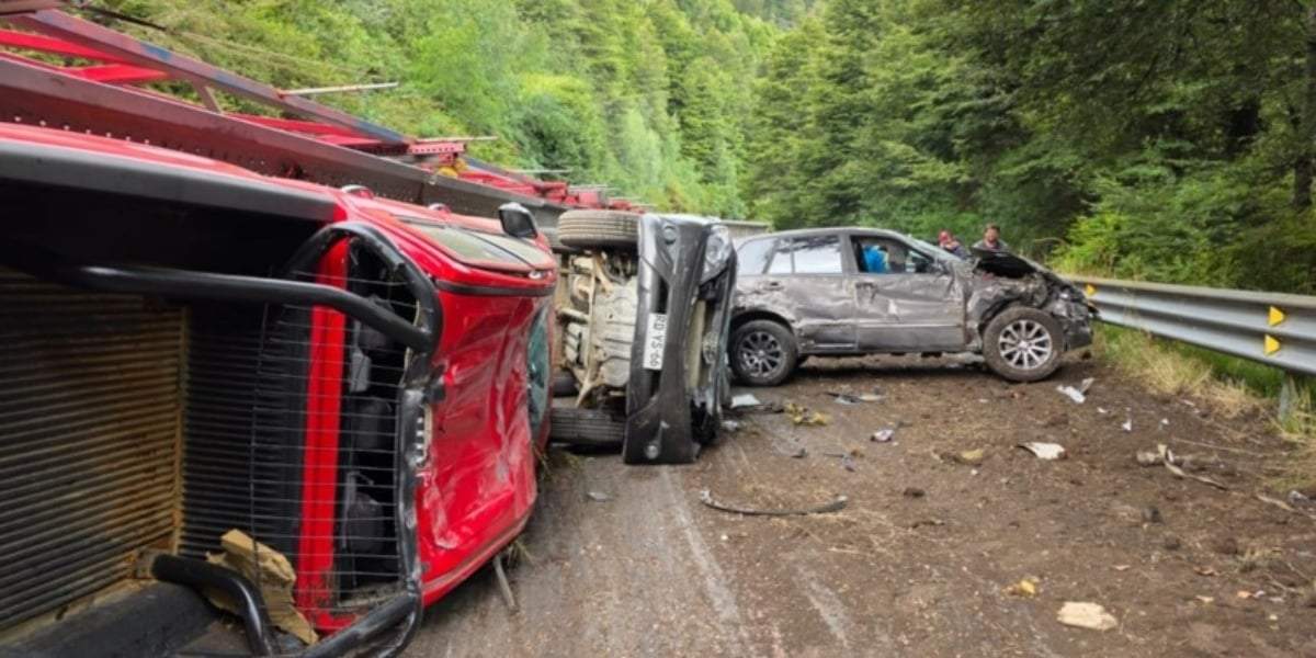 Camión volcado cerca del Paso Cardenal Samoré. Fuente: (Bariloche)