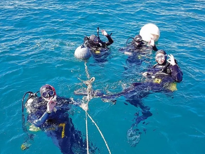 Las Grutas todo el año: el buceo que revela un mundo oculto en la costa de Río Negro