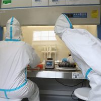 EU suspende uso de hidroxicloroquina en ensayos tras comprobar nula eficacia