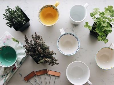 Descubrí cómo cultivar hierbas aromáticas en una taza