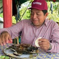 Dirigente de Morena en Tabasco es exhibido comiendo tortuga protegida por ley