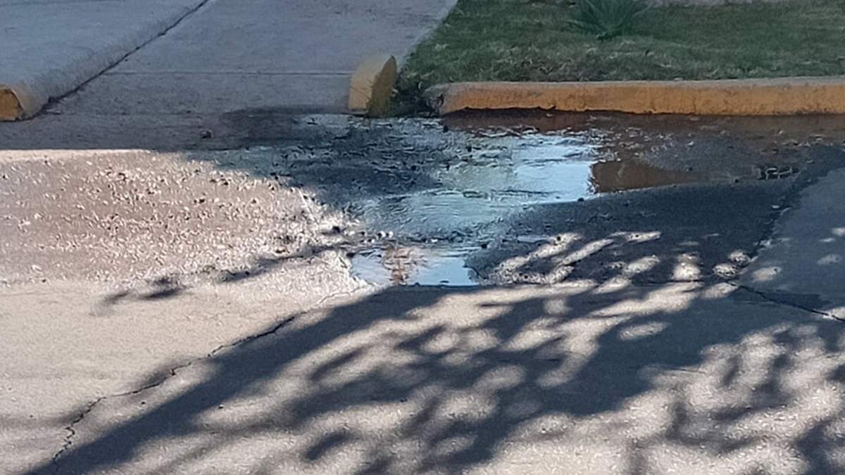 La pérdida de cada día.