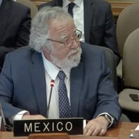 México alerta en la OEA sobre expansión militar de EU a otros países