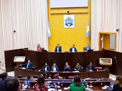 Unánime rechazo al atentado contra Cristina Fernández en la sesión especial de la Legislatura