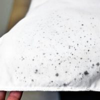 El truco de la abuela para quitar para siempre las manchas de moho de la ropa