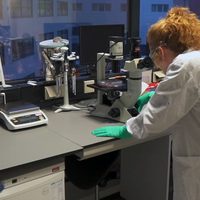 Vacuna de Johnson & Johnson arroja efectividad de 66% y variaciones por regiones
