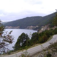 Manejaba alcoholizado por la Ruta de los Siete Lagos y chocó contra un árbol