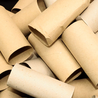 No tires los tubos de cartón de los rollos de papel higiénico: mirá esto tan hermoso que podés crear