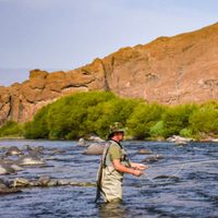 Se encuentran disponibles los permisos de pesca para la nueva temporada