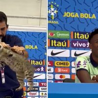 Avientan a gato que se coló a conferencia de Vinicius Jr.; se desata polémica en redes (Video)