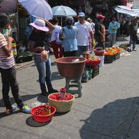 Covid-19 afectará el ya escaso acceso a la alimentación de millones de personas: FAO