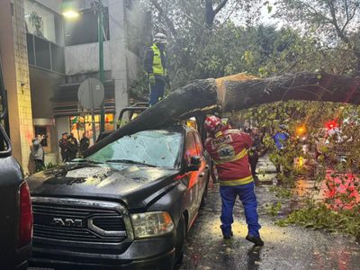 Árbol cae sobre una patrulla y causa daños en instalaciones de la SSC en la Cuauhtémoc (Videos)