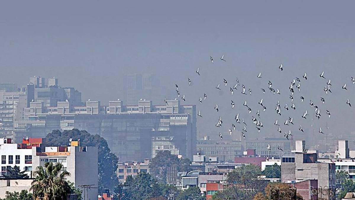 Polución en la CDMX. Factor de riesgo