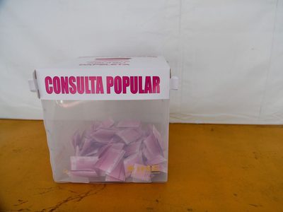 "Fracaso", el grito en redes sociales por la baja participación en la Consulta Popular