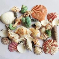 Dale vida a los caracoles que tenés guardados en el cajón, con esta idea súper linda y decorativa para tu cuarto