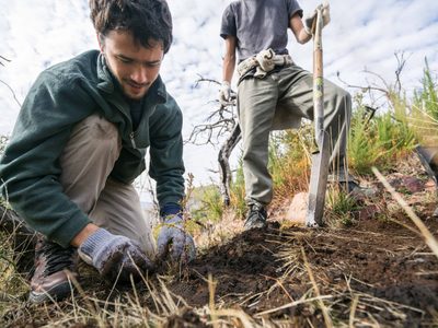 Un árbol para Navidad, una campaña para proteger nuestros bosques