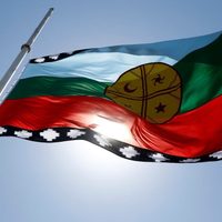 Quieren prohibir homenajes a la bandera mapuche en escuelas de Neuquén