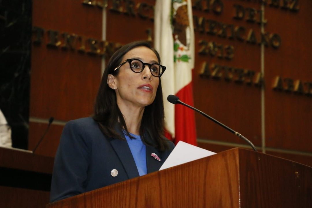 Mariana García Diputada. Foto congresogro