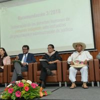 PGJ, SSP y Consejería Jurídica de la CDMX violaron derechos de indígenas, dice Recomendación de la CDHDF