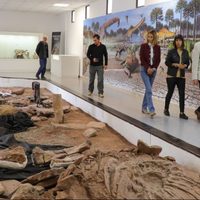 Presentaron en Villa El Chocón el dinosaurio de cuello largo más grande del mundo
