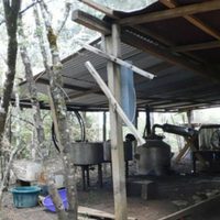 Desmantelan laboratorio clandestino de droga en Chiapas