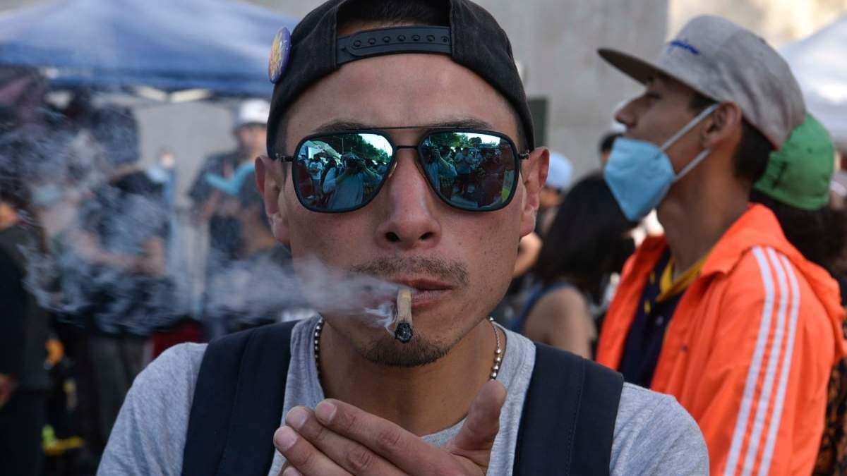 Vendedores de productos de mariguana se han ubicado afuera del Senado de la República