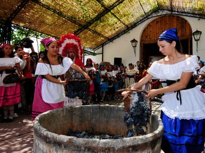 Productores vinícolas mexicanos esperan alza de 20% en fabricación de vinos para 2023