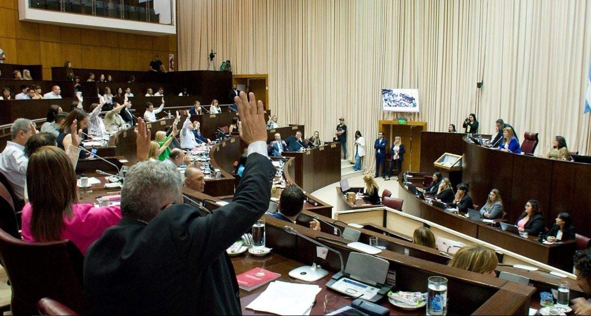 La ley de Emergencia Sanitaria se aprobó con el voto positivo de 32 legisladores. Fuente: (X)