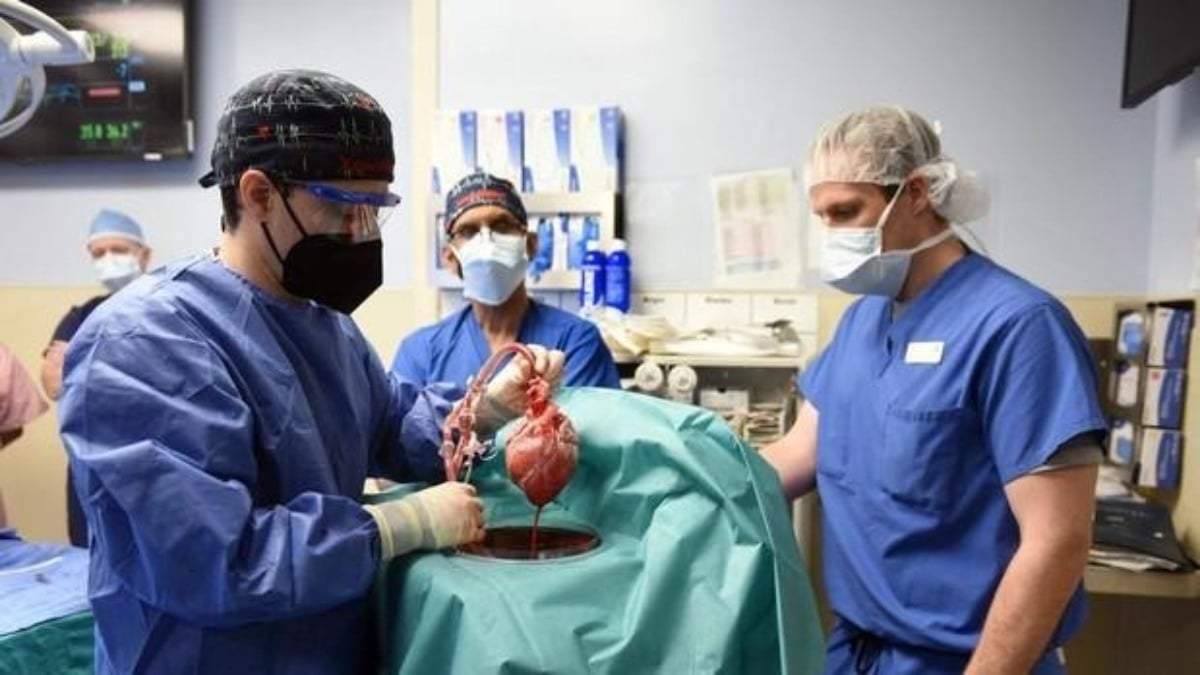 El trasplante de corazón de cerdo a humano