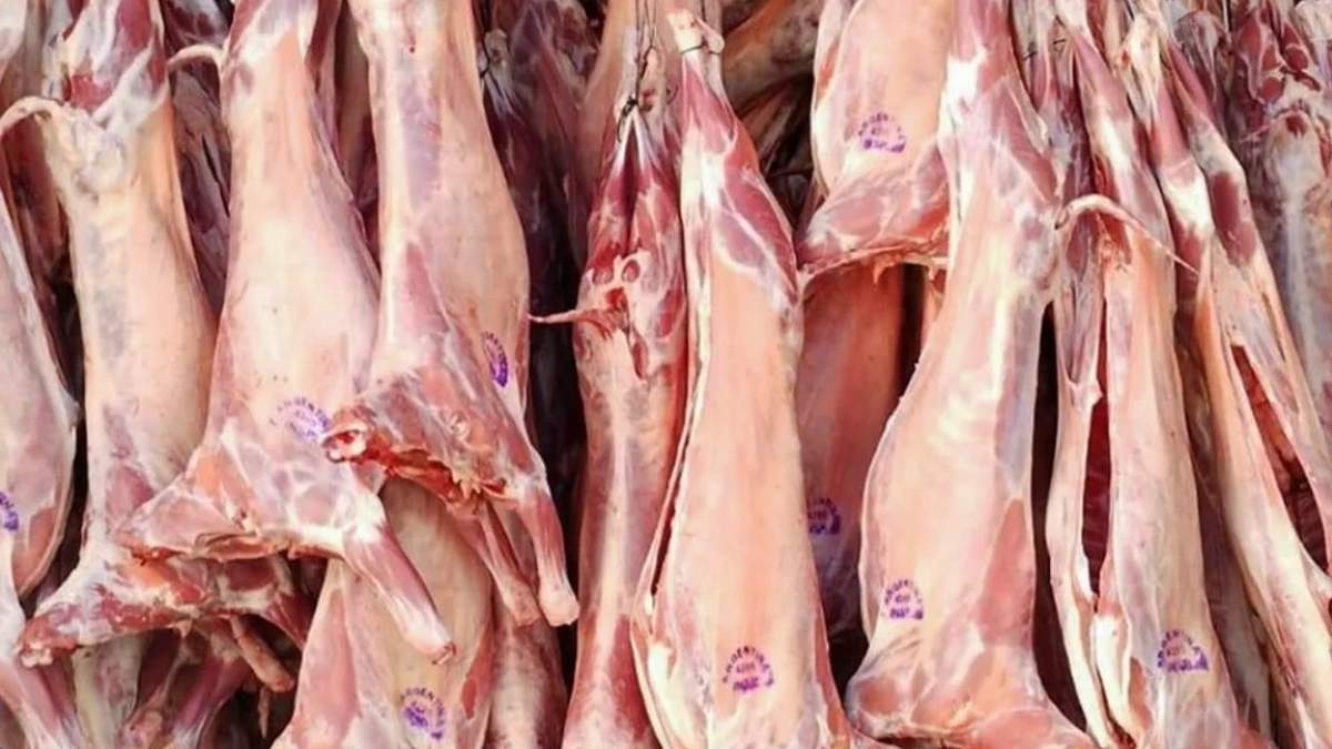 Esperan superar la cantidad de 22 mil chivitos faenados en la temporada anterior. Fuente: (LU5)