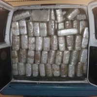 Aseguran casi dos toneladas de mariguana en Baja California