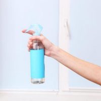 El aromatizante "mágico" y casero que le quitará el olor a humedad a tu casa y alejará a los insectos