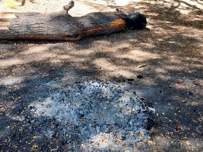 Incendios forestales: Villa La Angostura controla los fogones y acampes en lugares no autorizados
