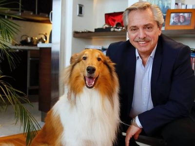 Murió Dylan, el perro “influencer” de Alberto Fernández