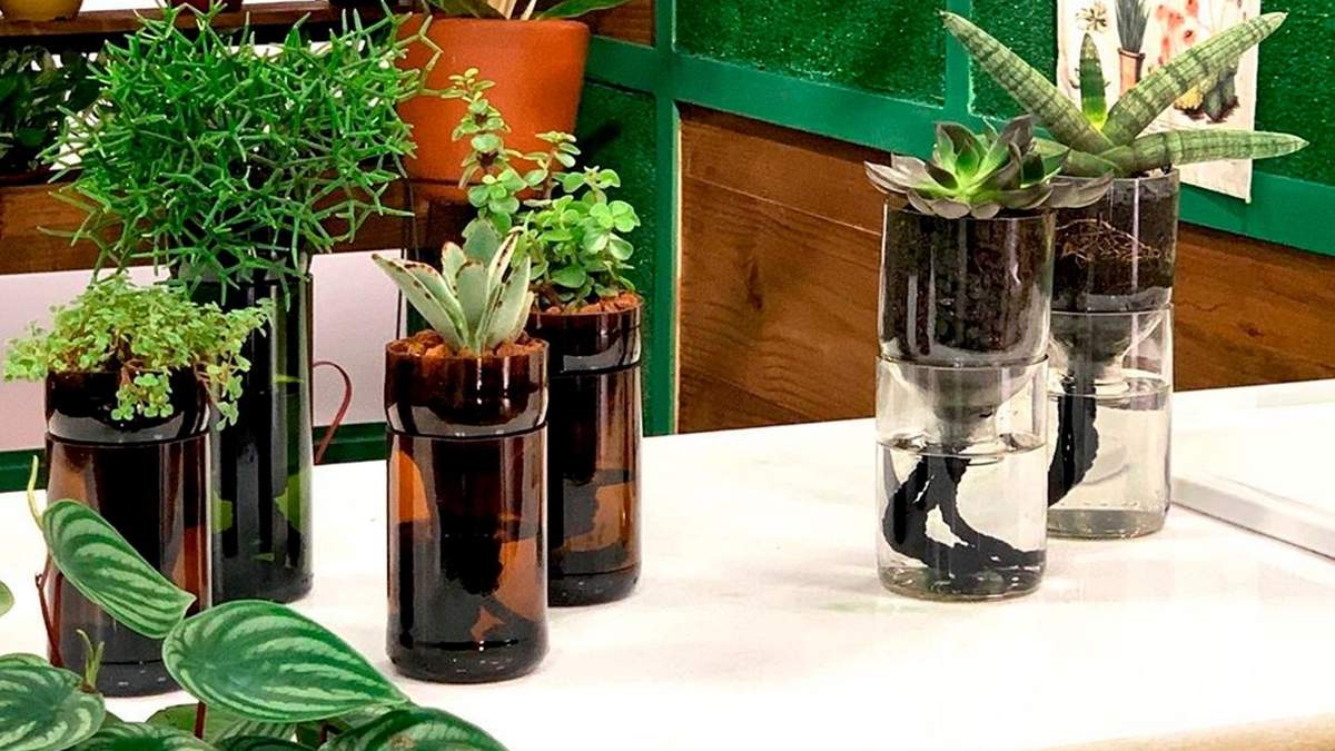 Botellas se autorriego. Fuente: (Instagram)