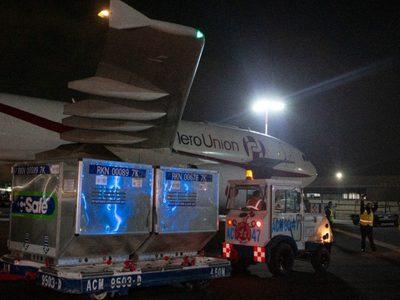 Canaero alerta sobre riesgo por migración apresurada de operaciones de carga al AIFA