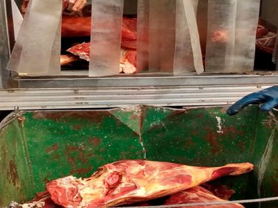 Zapala: Bromatología decomisó 1290 kilos de carne de dudosa procedencia