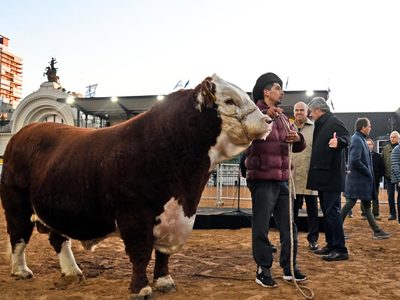 La expo rural, punto de encuentro para las familias en estas vacaciones de invierno: qué se puede hacer