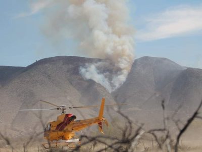 Aumentan a 104 los incendios activos en 19 entidades del país en las últimas horas