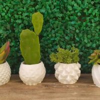 Hacete esta maceta símil madera súper trendy con los potes de helado que ibas a tirar