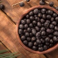 Prueban la fruta açaí como tratamiento contra el coronavirus