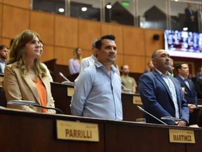 Diputados justicialistas le pidieron a Figueroa tratar la Emergencia Sanitaria en extraordinarias
