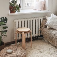 5 plantas muy fáciles de cuidar que se conservarán hermosas en lugares con poca luz